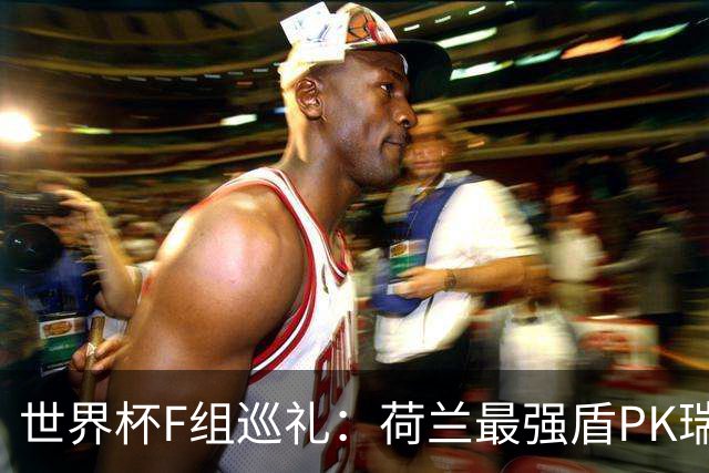 世界杯F组巡礼：荷兰最强盾PK瑞典犀利刀 日本短板明显
